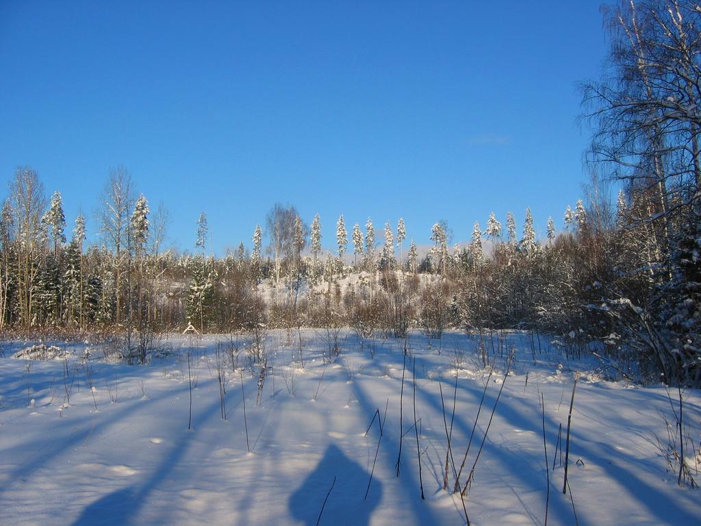 Ruhmaslehto Vila Siikava Exterior foto