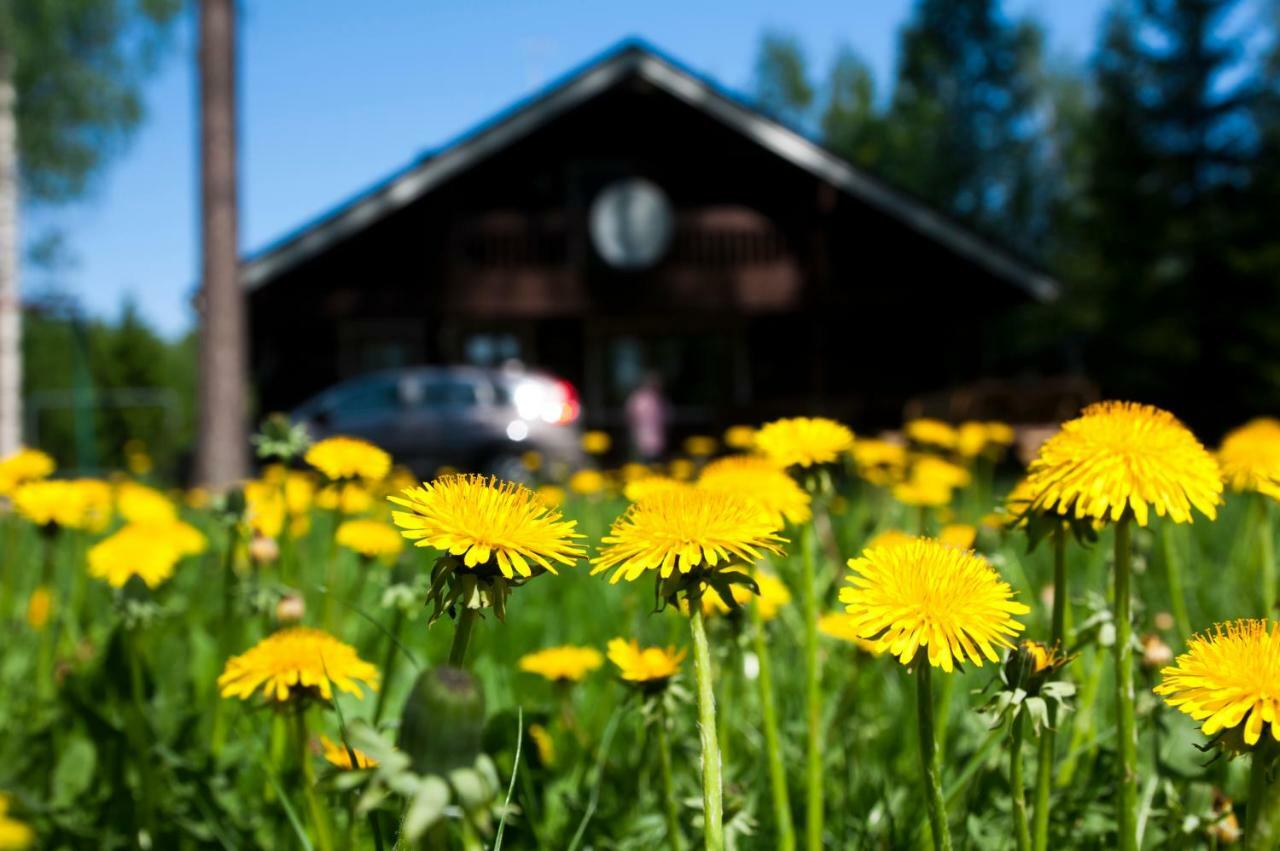Ruhmaslehto Vila Siikava Exterior foto